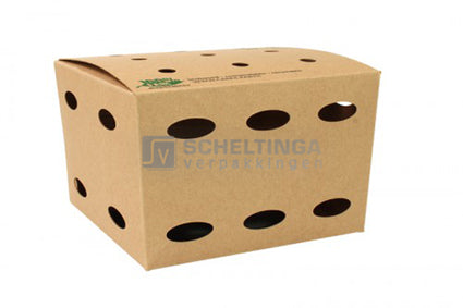 Frietbox Medium 14x16x16cm 100% Fair