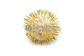 Micro pompon+plakker 3224 Goud