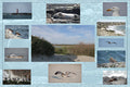 Placemat 30x40cm Aan de kust