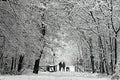 Placemat 30x40cm Sneeuw in het bos