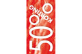 Raambiljet 50x94cm Korting 50% Rood