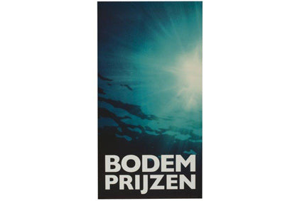 Raambiljet 50x94cm Bodem prijzen