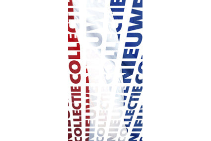 Raambiljet 50x94cm Nieuwe Collectie