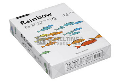 A4 160gr 250vel White 00 Papier