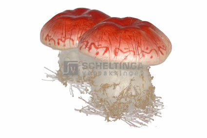Paddenstoel 25cm